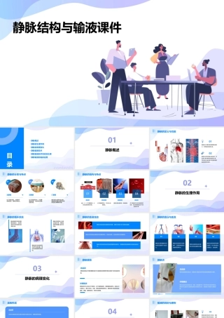 静脉结构与输液课件