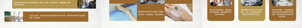 静脉留置针操作示范课件