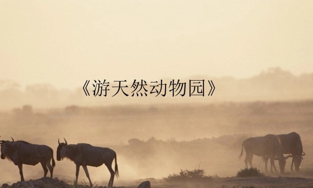 课件：游天然动物园1