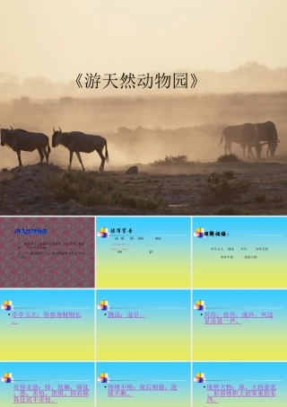 课件：游天然动物园1