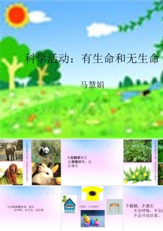 科学活动：有生命和无生命 (2)