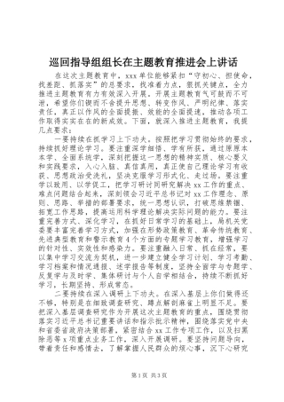 巡回指导组组长在主题教育推进会上讲话