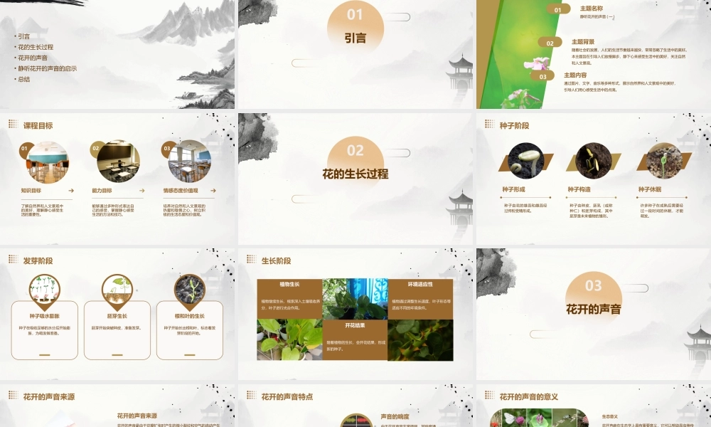静听花开的声音(一)课件