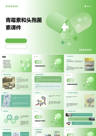 青霉素和头孢菌素课件