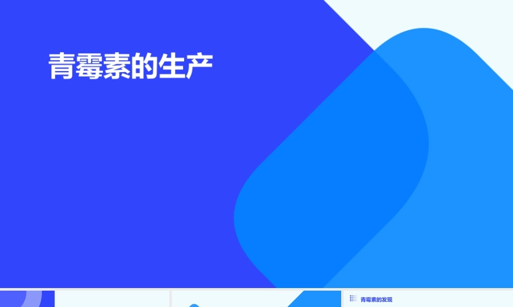 青霉素的生产课件