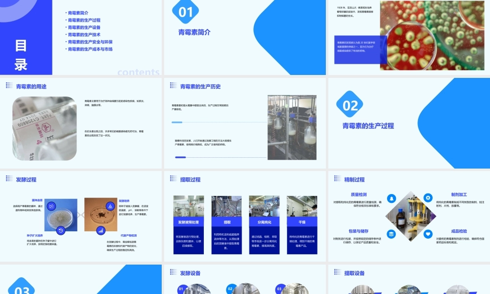 青霉素的生产课件