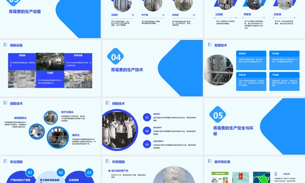 青霉素的生产课件