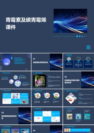 青霉素及碳青霉烯课件