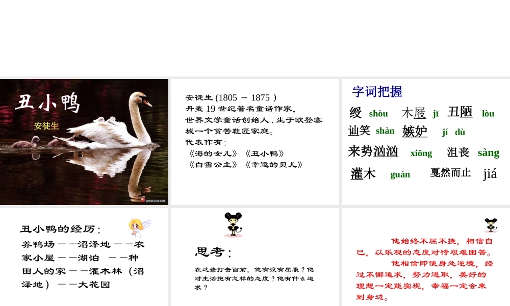 丑小鸭课件新人教版七年级下