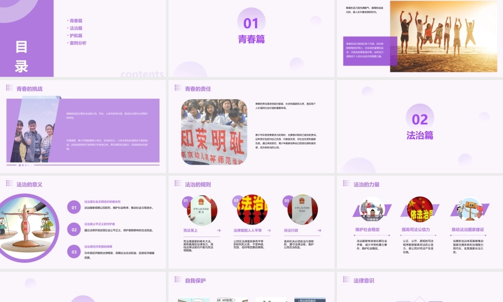 青春飞扬法治护航课件