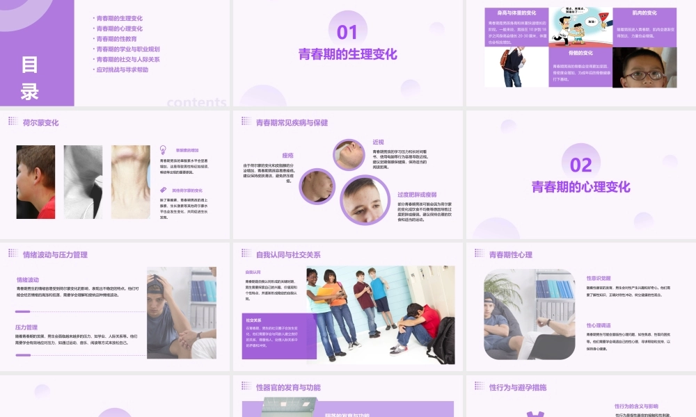 青春期教育讲座(男生篇)成稿课件