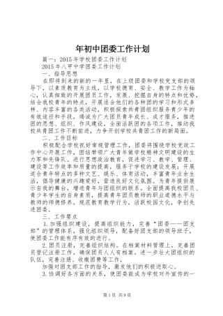 年初中团委工作计划