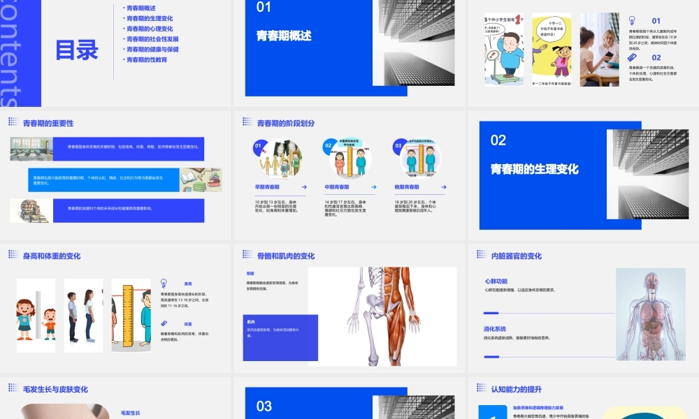青春期的发育特点课件