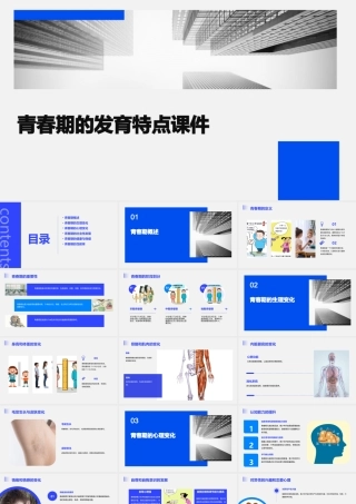 青春期的发育特点课件