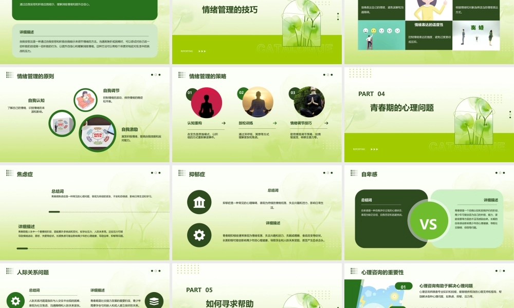 青春的情绪公开课课件