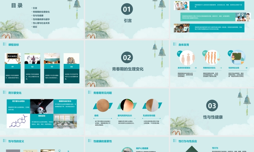 青春期性教育通用课件