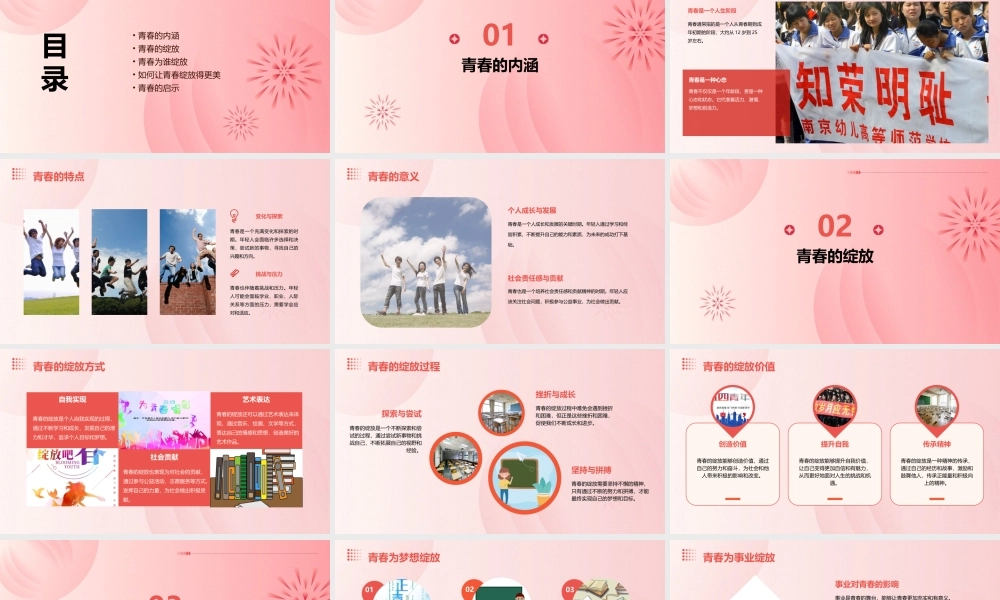 青春为谁而绽放课件