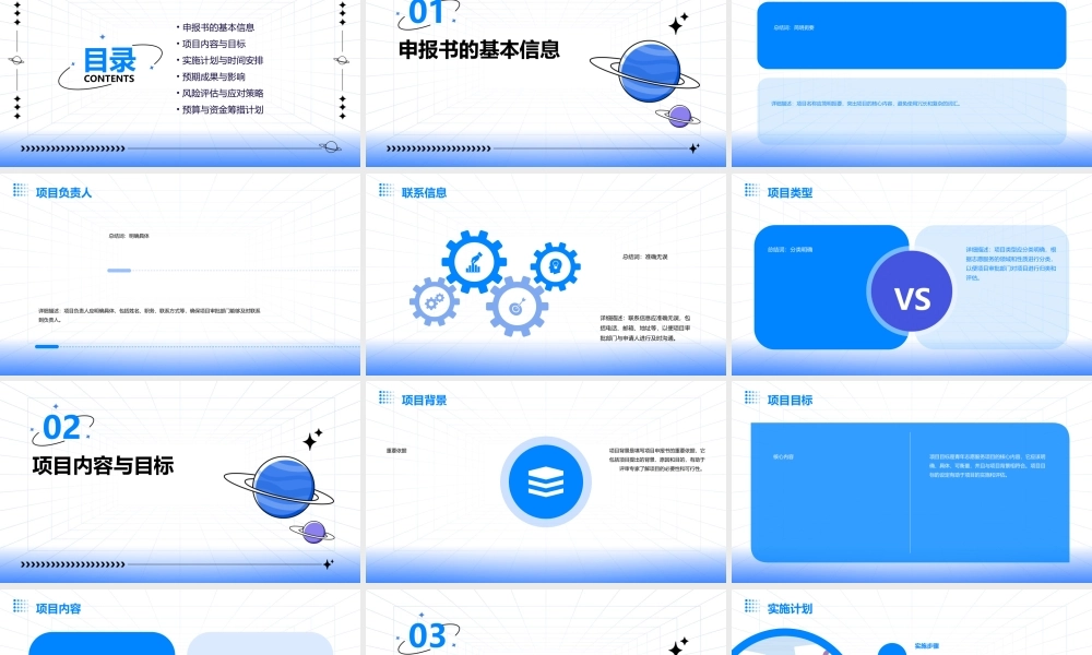 青年志愿服务项目申报书的填写方法(官方)概要课件