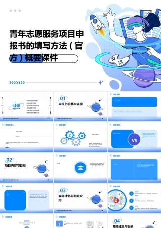 青年志愿服务项目申报书的填写方法(官方)概要课件