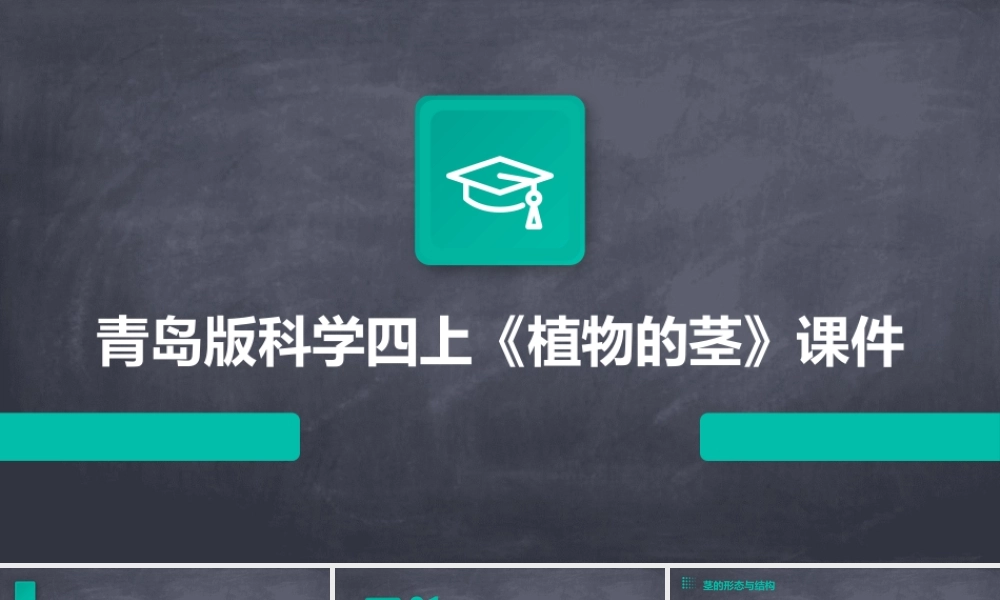 青岛版科学四上《植物的茎》课件