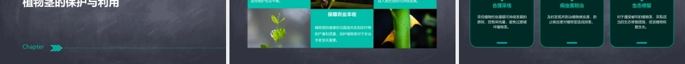 青岛版科学四上《植物的茎》课件