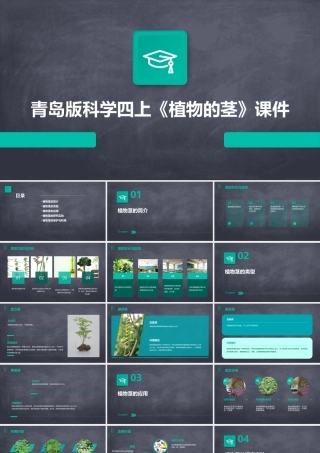 青岛版科学四上《植物的茎》课件