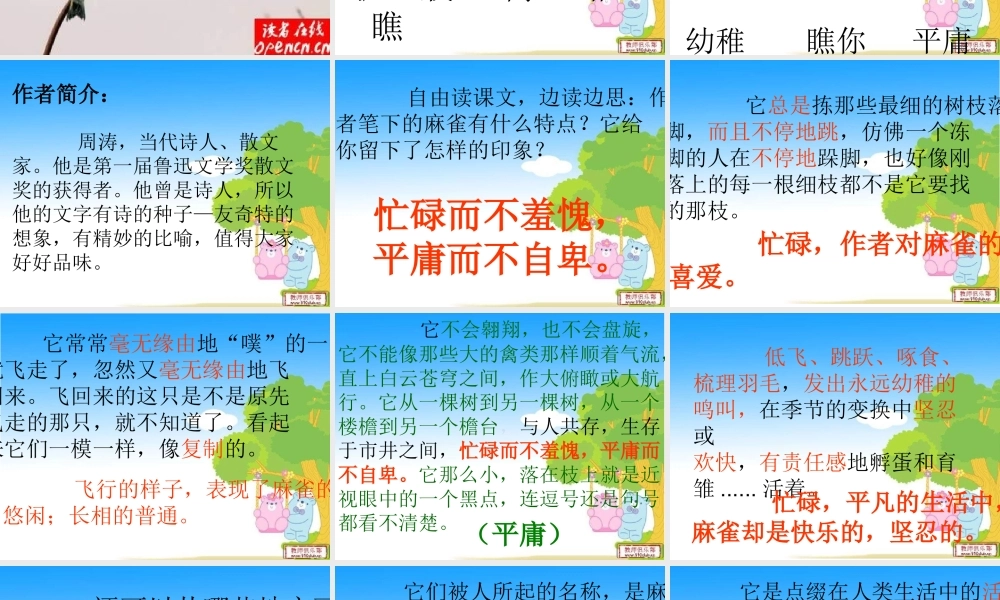 隔窗看雀课件(1)