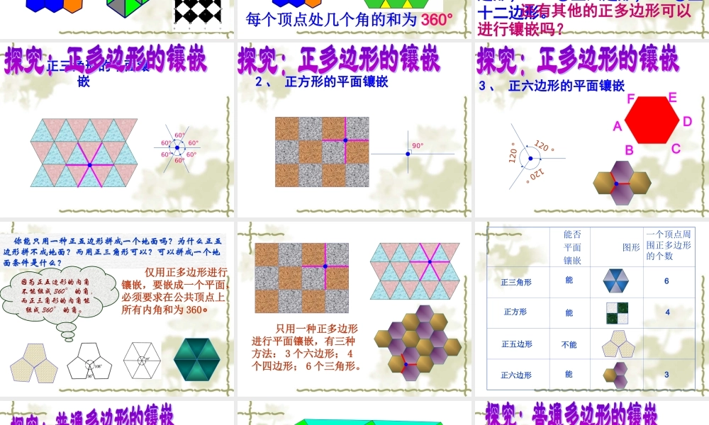 阳高三中七年级数学人教版下册平面镶嵌