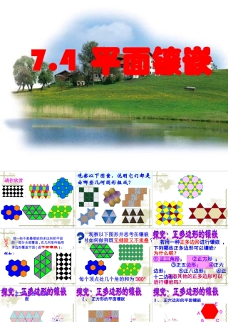 阳高三中七年级数学人教版下册平面镶嵌