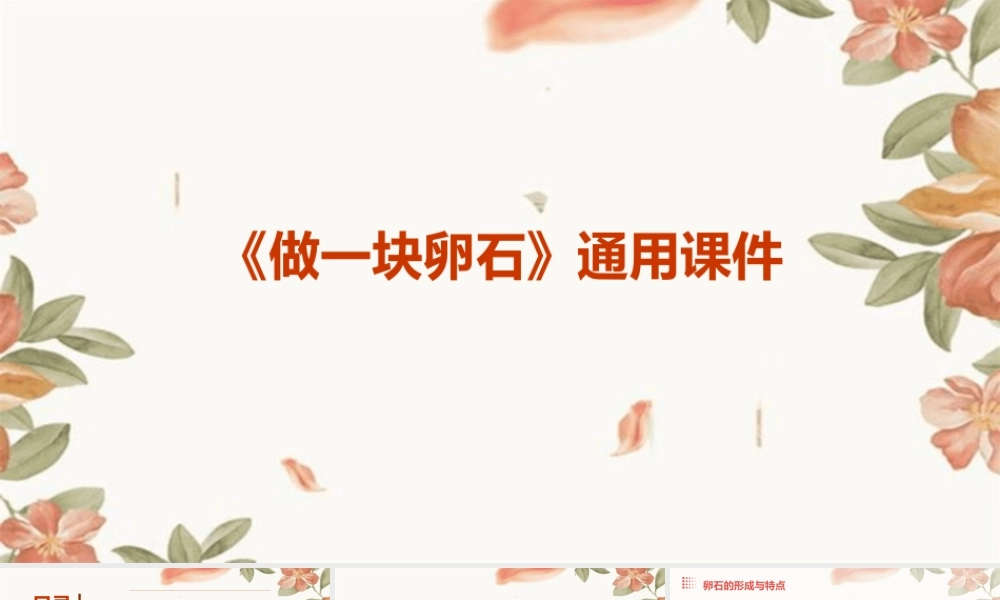 青岛版科学五上《做一块卵石》通用课件