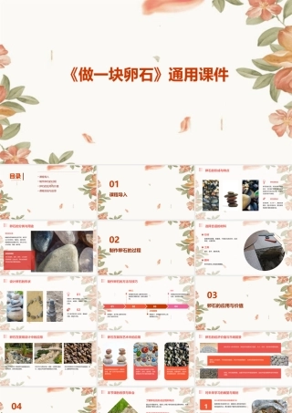 青岛版科学五上《做一块卵石》通用课件