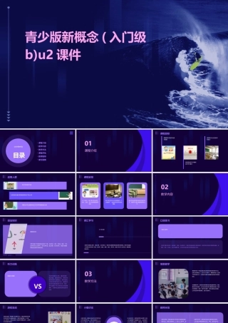 青少版新概念(入门级B)u2课件