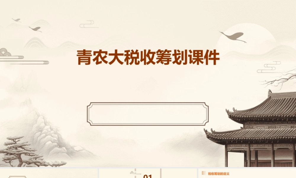 青农大税收筹划课件