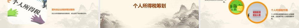 青农大税收筹划课件