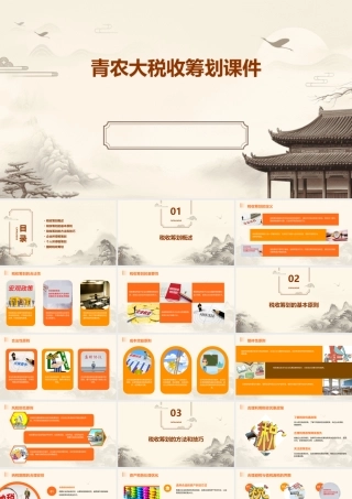 青农大税收筹划课件