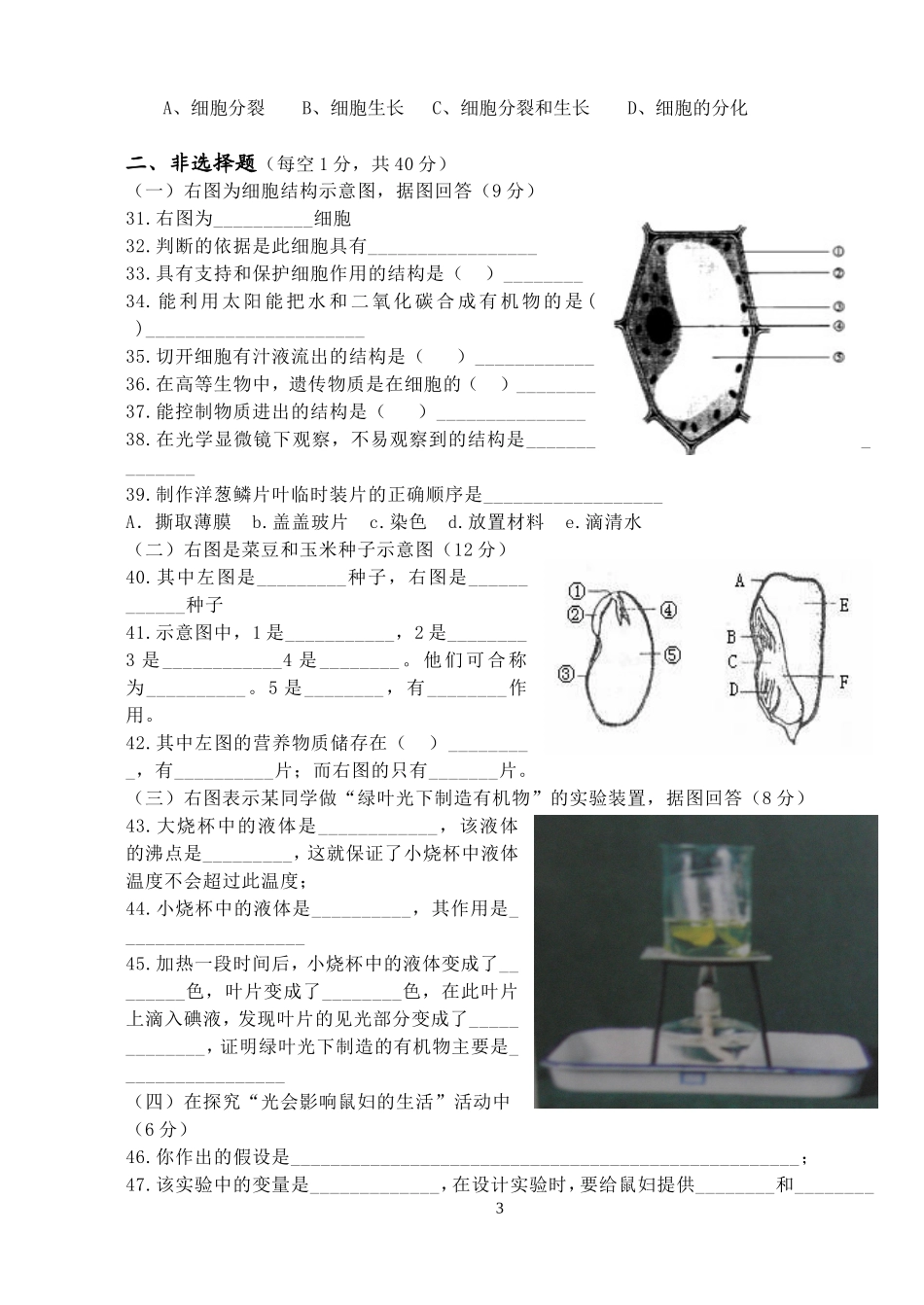 七年级上册生物模拟试卷_第3页
