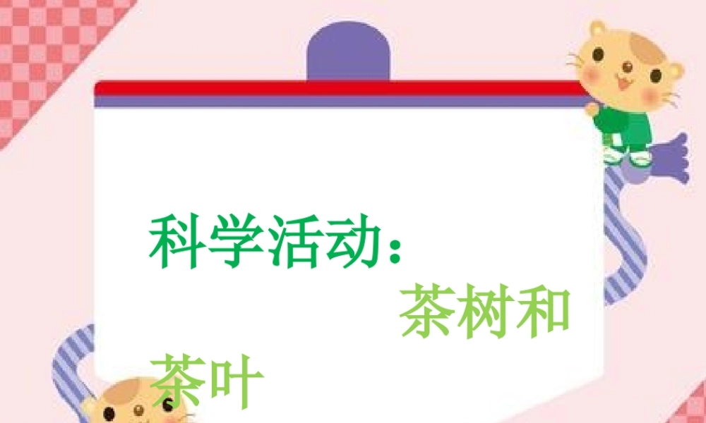 中班科学《茶树和茶叶》