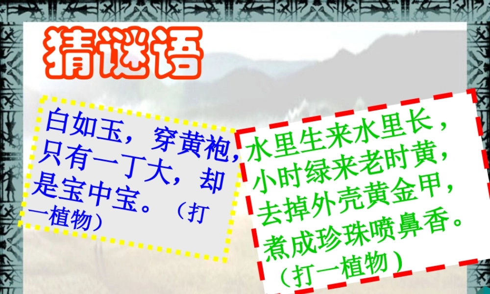 第2课星罗棋布的氏族聚落课件