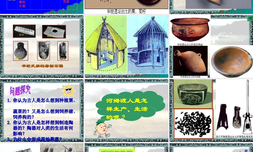 第2课星罗棋布的氏族聚落课件