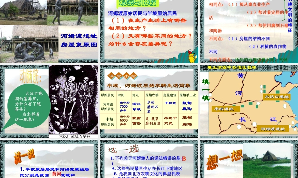 第2课星罗棋布的氏族聚落课件