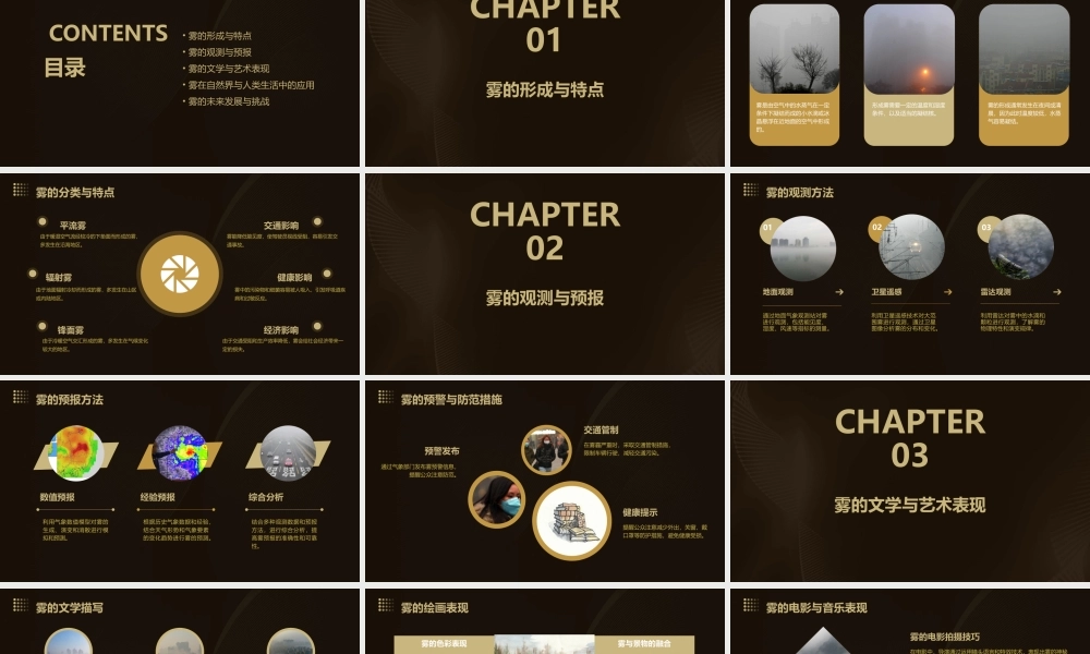 雾在哪里(部编版)课件