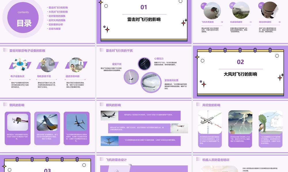 雷击大风对飞行影响及应对措施课件