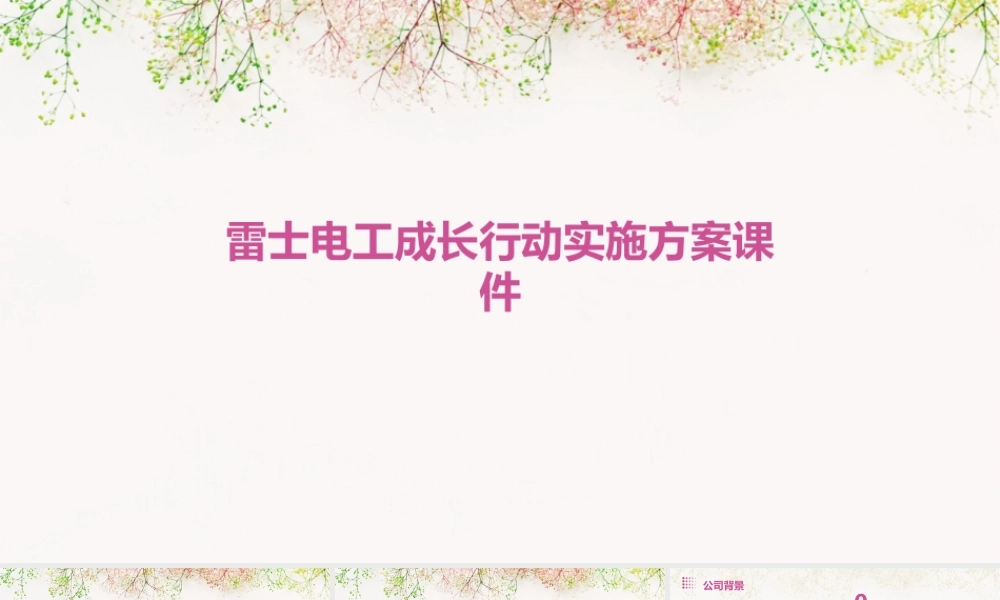 雷士电工成长行动实施方案课件