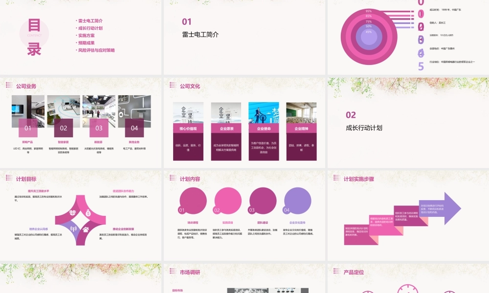 雷士电工成长行动实施方案课件