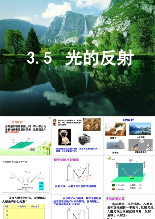 光的反射 (3)