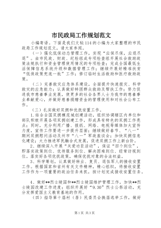 市民政局工作规划范文