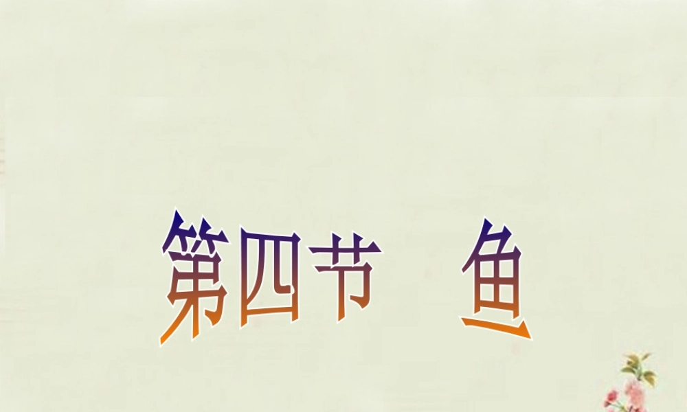 中学八年级生物上册 5.1.4 鱼课件 (新版)新人教版 课件