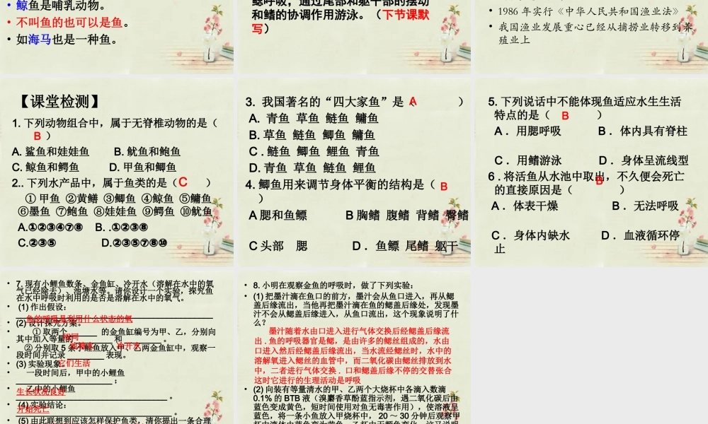 中学八年级生物上册 5.1.4 鱼课件 (新版)新人教版 课件