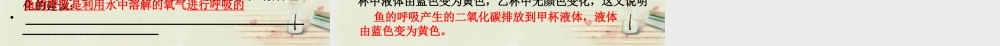中学八年级生物上册 5.1.4 鱼课件 (新版)新人教版 课件