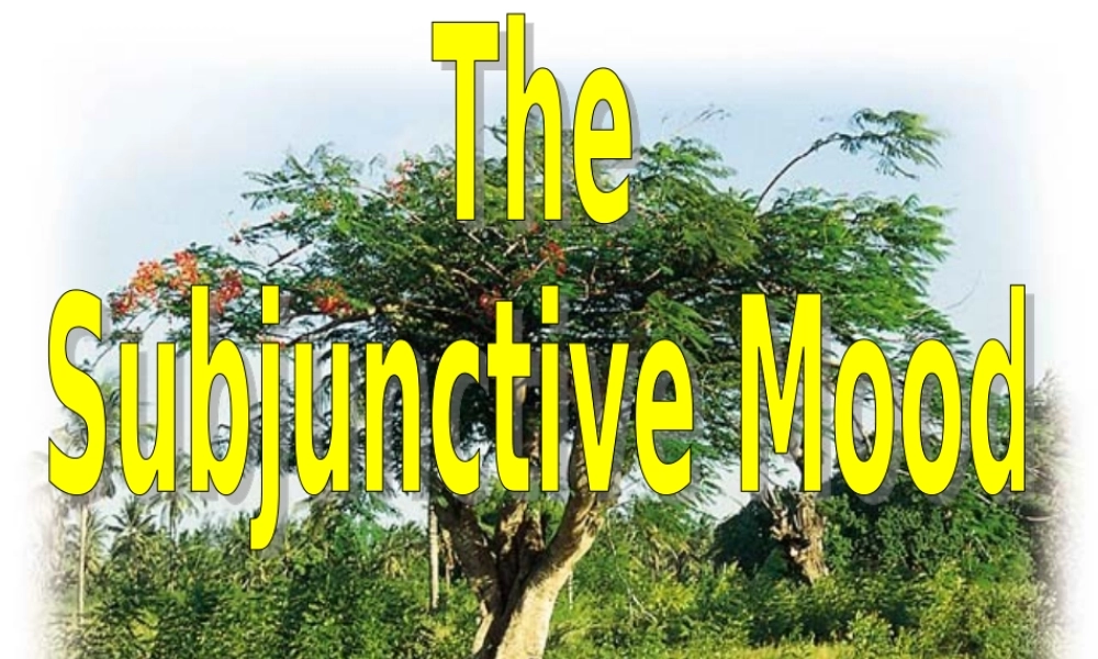 人教版高二英语虚拟语气 课件